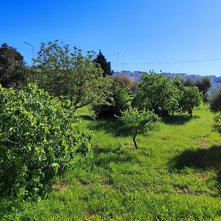 بيت للعطل Casa Dori