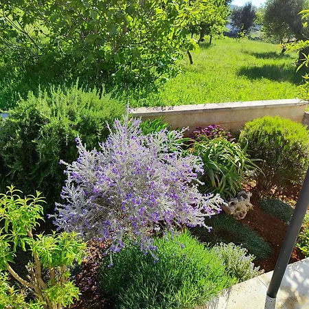 Casa Dori Чистернино