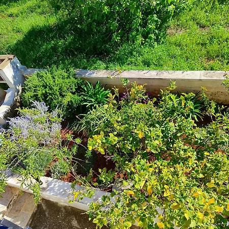 Дом отдыха Casa Dori *