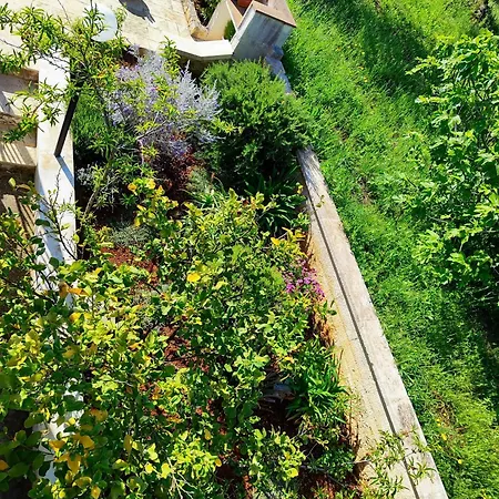 Дом отдыха Casa Dori Чистернино